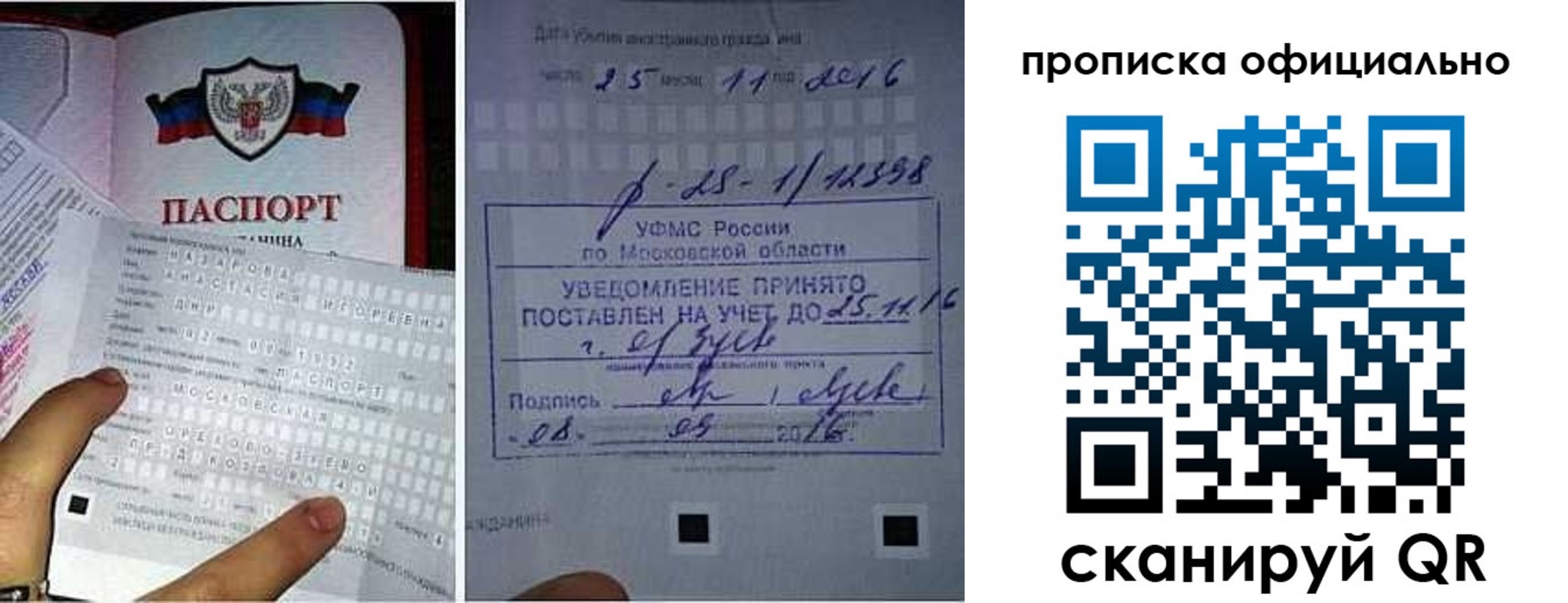 прописка паспорт в Семилуках